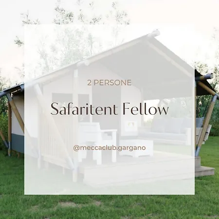 Mecca Club Ischitella