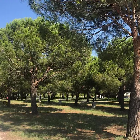 Mecca Club Ischitella