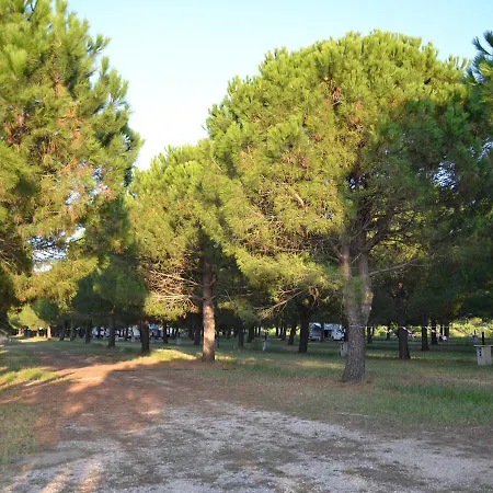 Campsite Mecca Club
